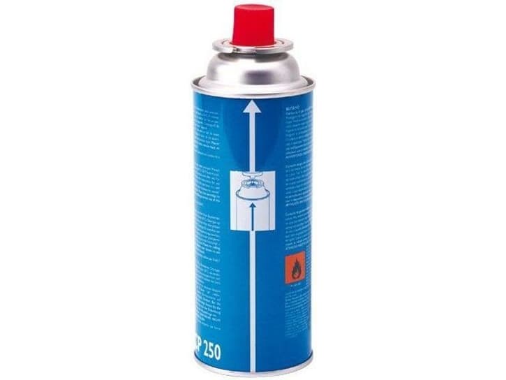 Campingaz Gas Cartridge 250g Cp250 (76060)