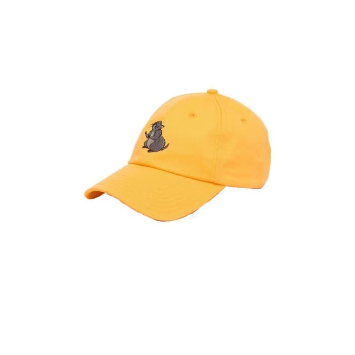 Hype Unisex Gopher Dad Hat