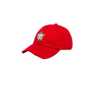Hype Disney Unisex Potts Dad Hat