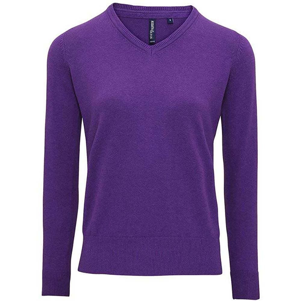 Asquith And Fox Womens/Ladies V-Neck Sweater