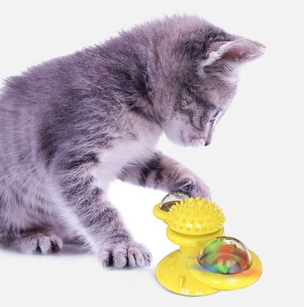 Väderkvarn Leksaker för katter Pussel virvlande skivspelare med borste Katt Spela spel Catnip Toy Kitten Interactive