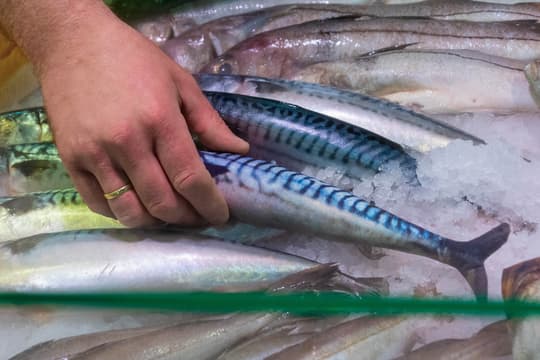 Totally Hooked Salmon  - Denna naturtro fisk är tillverkad av mjuk bomull och fylld med Madnip - 12 stycken