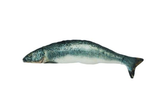 Totally Hooked Salmon - Denna naturtro fisk är tillverkad av mjuk bomull och fylld med Madnip - 12 stycken