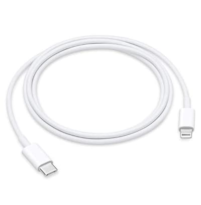 Apple Lightning to USB-C Cable (1 m)
