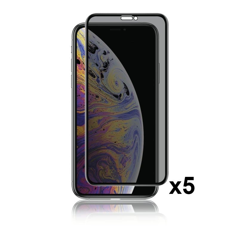 Panzer Curved sekretessglas, 5-pack, 2-vägs skydd, 9H, iPhone XR/11