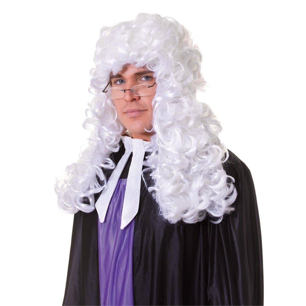 Bristol Novelty Unisex Judge Wig
