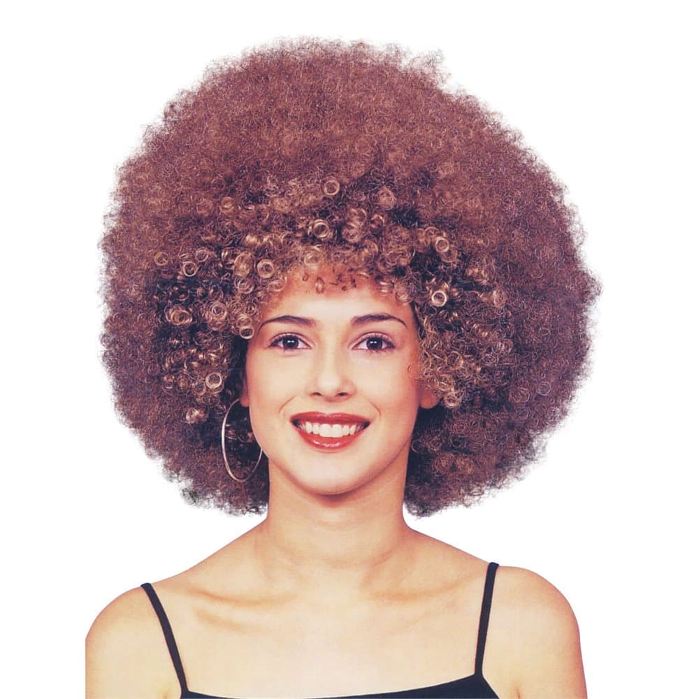 Bristol Novelty Womens/Ladies Singer Afro Wig