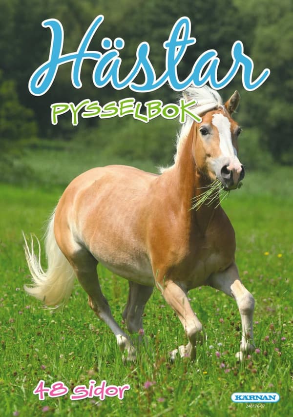 Pysselbok Hästar