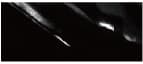 Phoenix Akryyliväri Studio 200ml Black 793