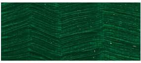 Phoenix Oljefärg 200ml Sap Green 568