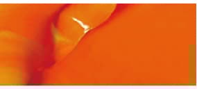 Phoenix Akryyliväri Heavy Body 200ml Orange Red 313