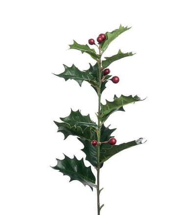 Järnek Kvist 48cm, Konstgjorda Jul Blommor - Mr. Plant