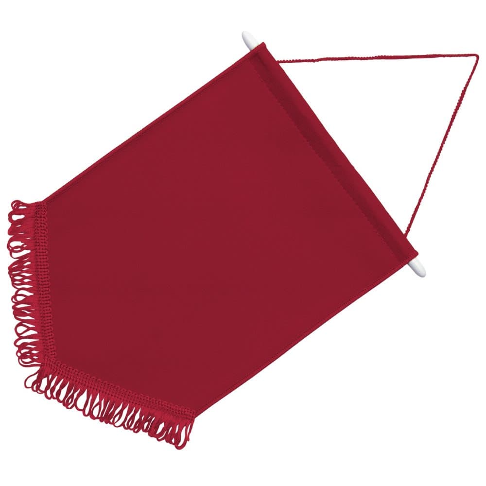 Ready Range Chevron Pennant