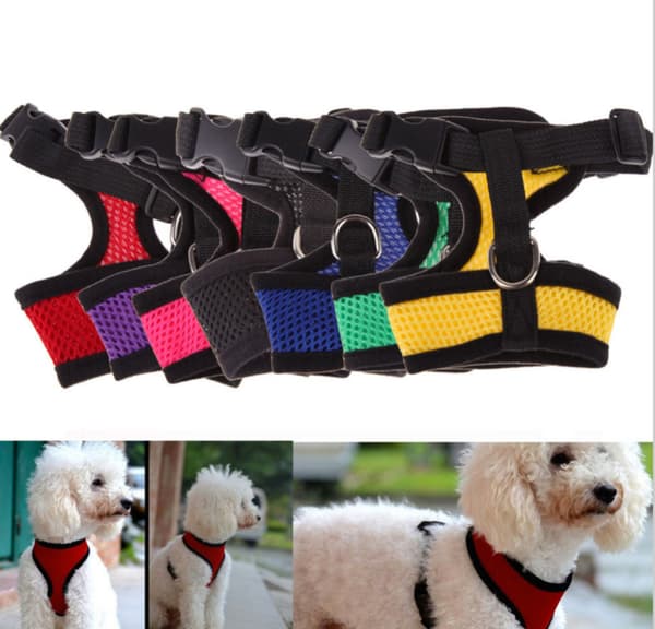 Hundsele Soft