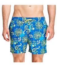 Salming Deas Swimshorts Blue/Green