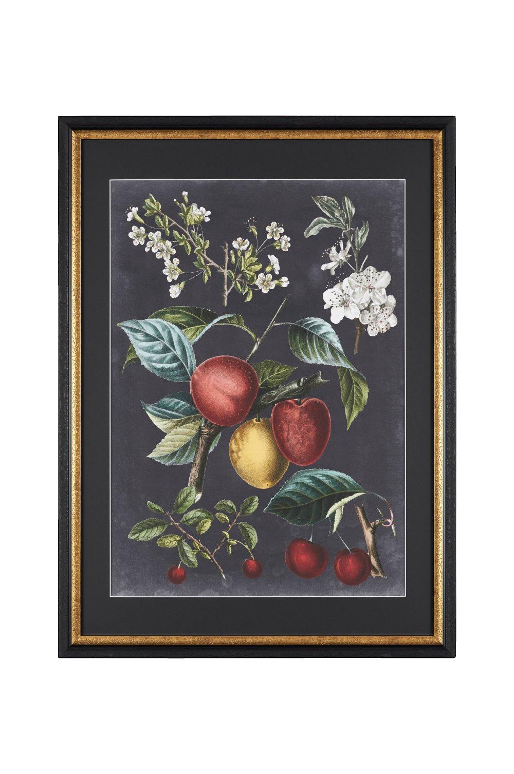Bilde VS: Orchard Varieties 4