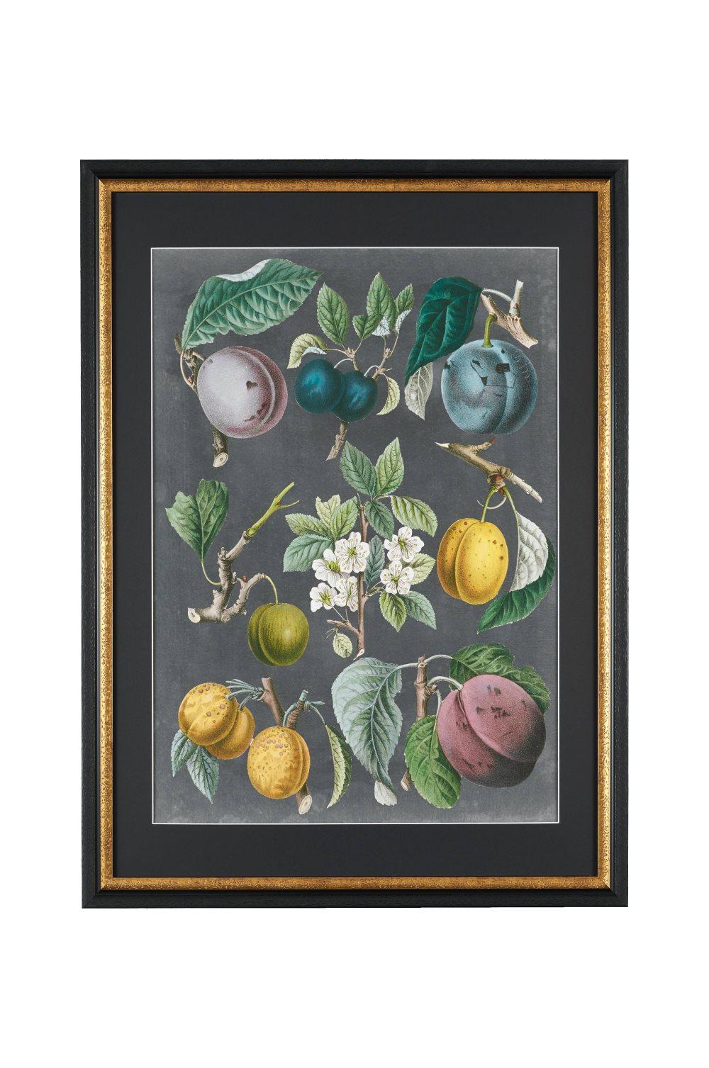 Bilde VS: Orchard Varieties 3