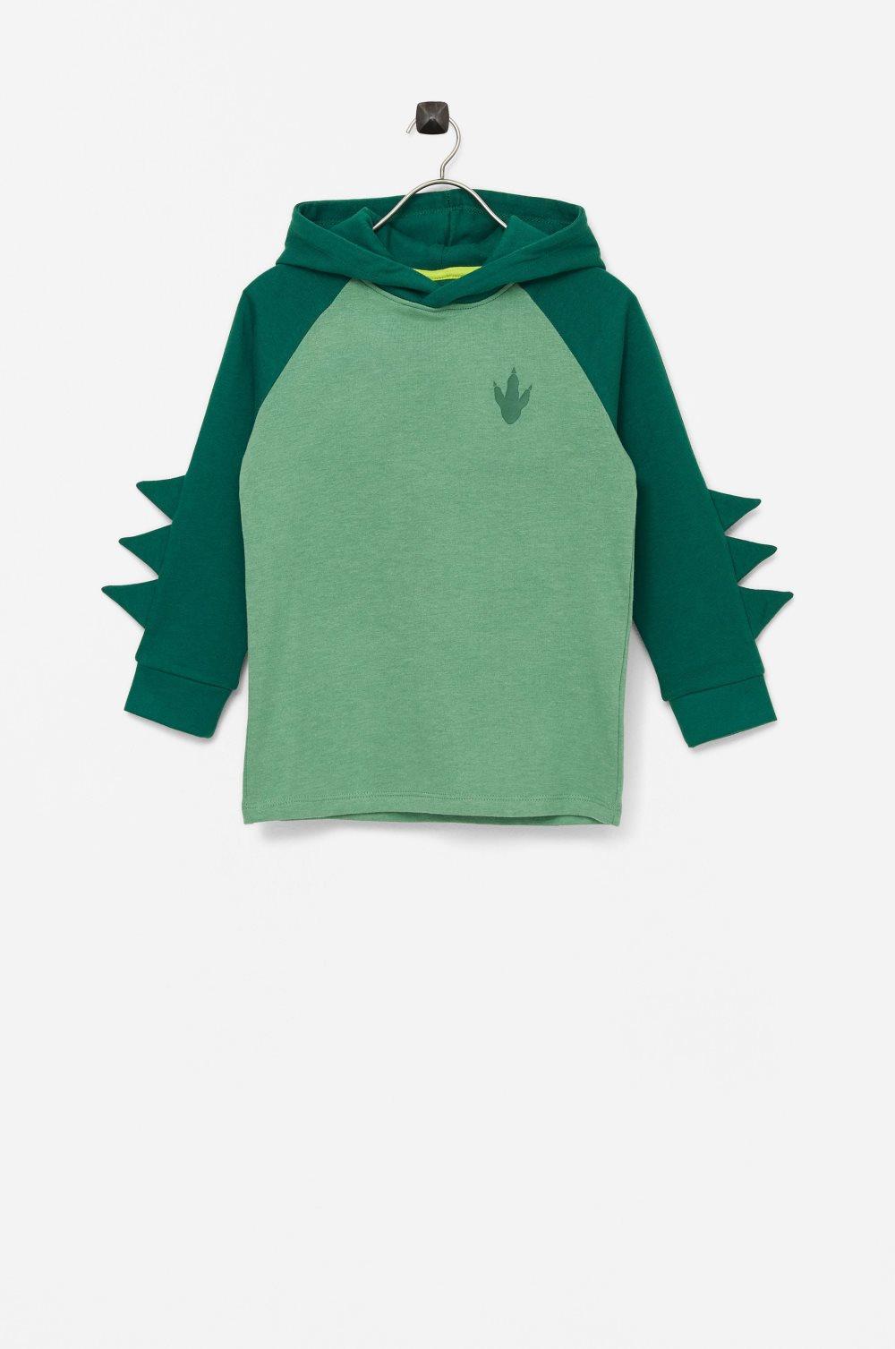 Hoodie Asher