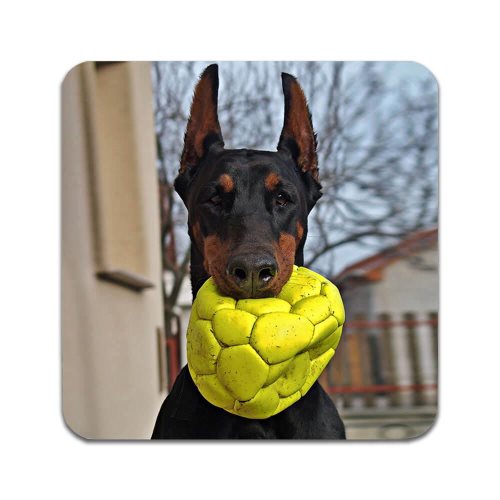 Bild av 2 ST Hund Dobermann Underlägg