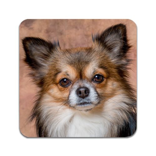 Bild av 2 ST Hund Chihuahua Underlägg
