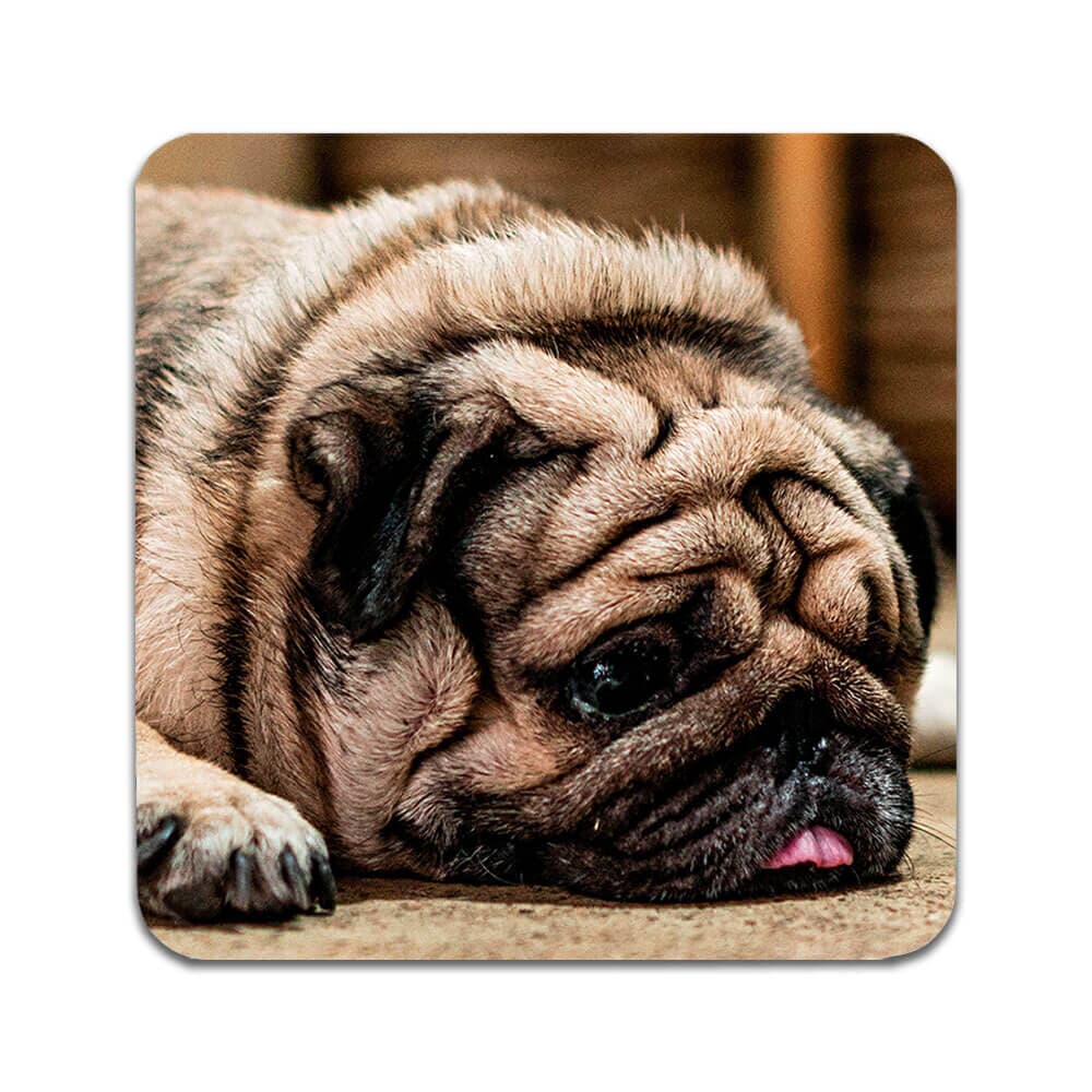 4 ST Hund Mops Underlägg