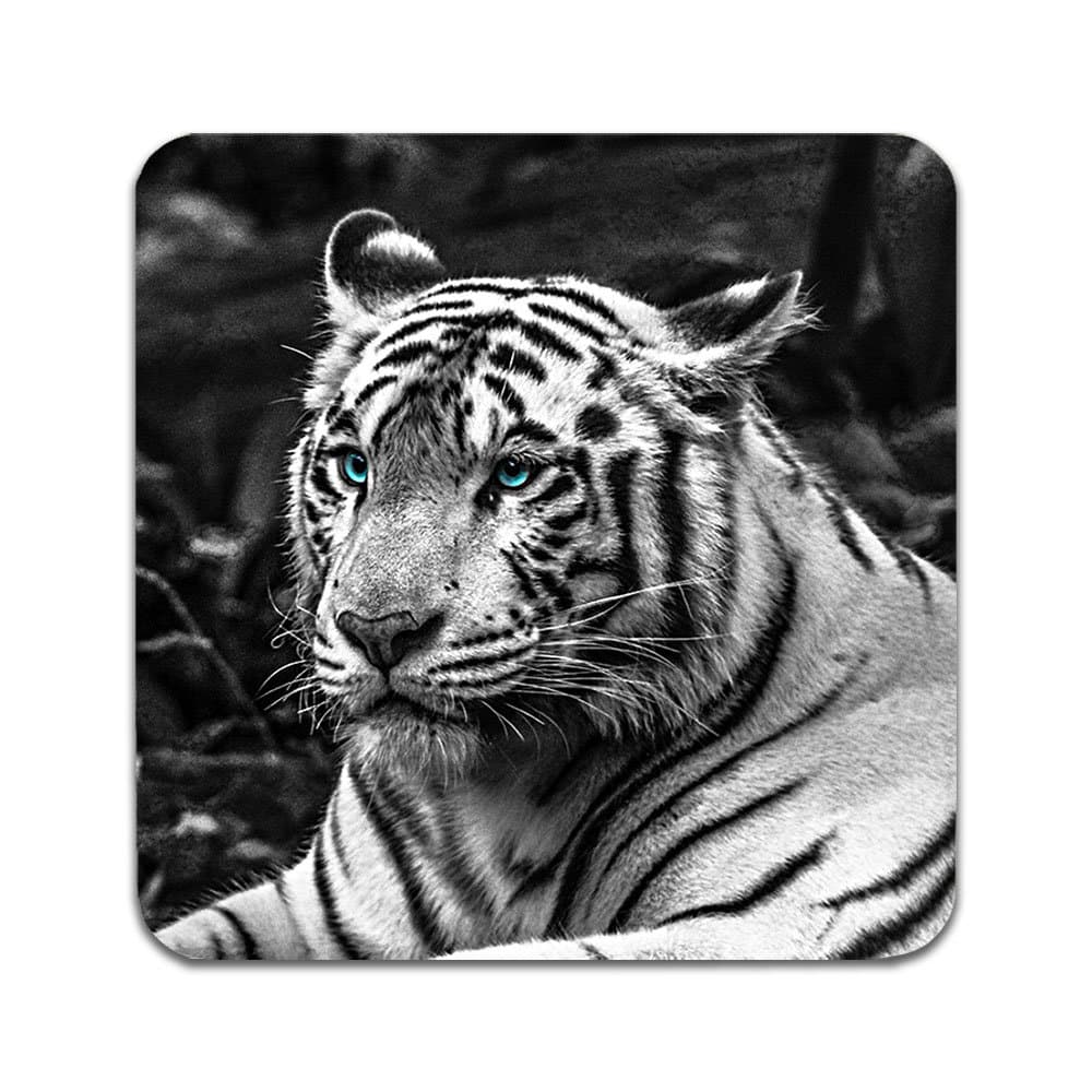 4 ST Tiger Underlägg
