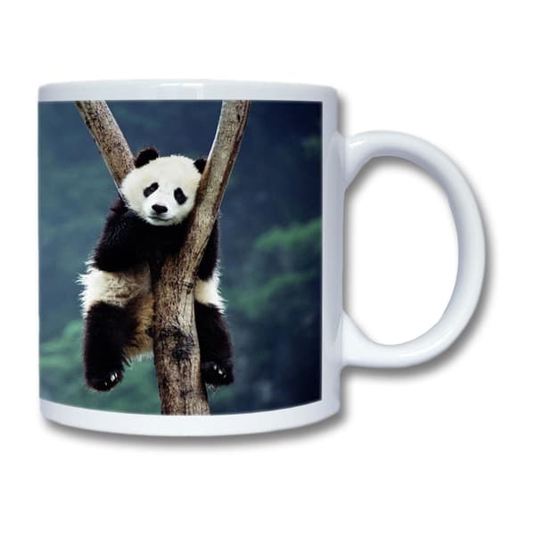 Panda Krus