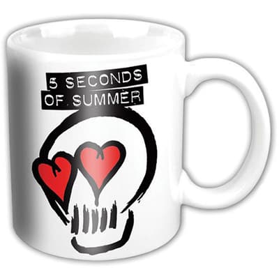 5 Seconds of Summer Boxed Standard Mug: Logo