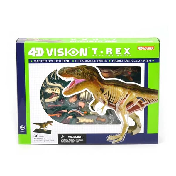 Anatomisk Modell 4D T-Rex