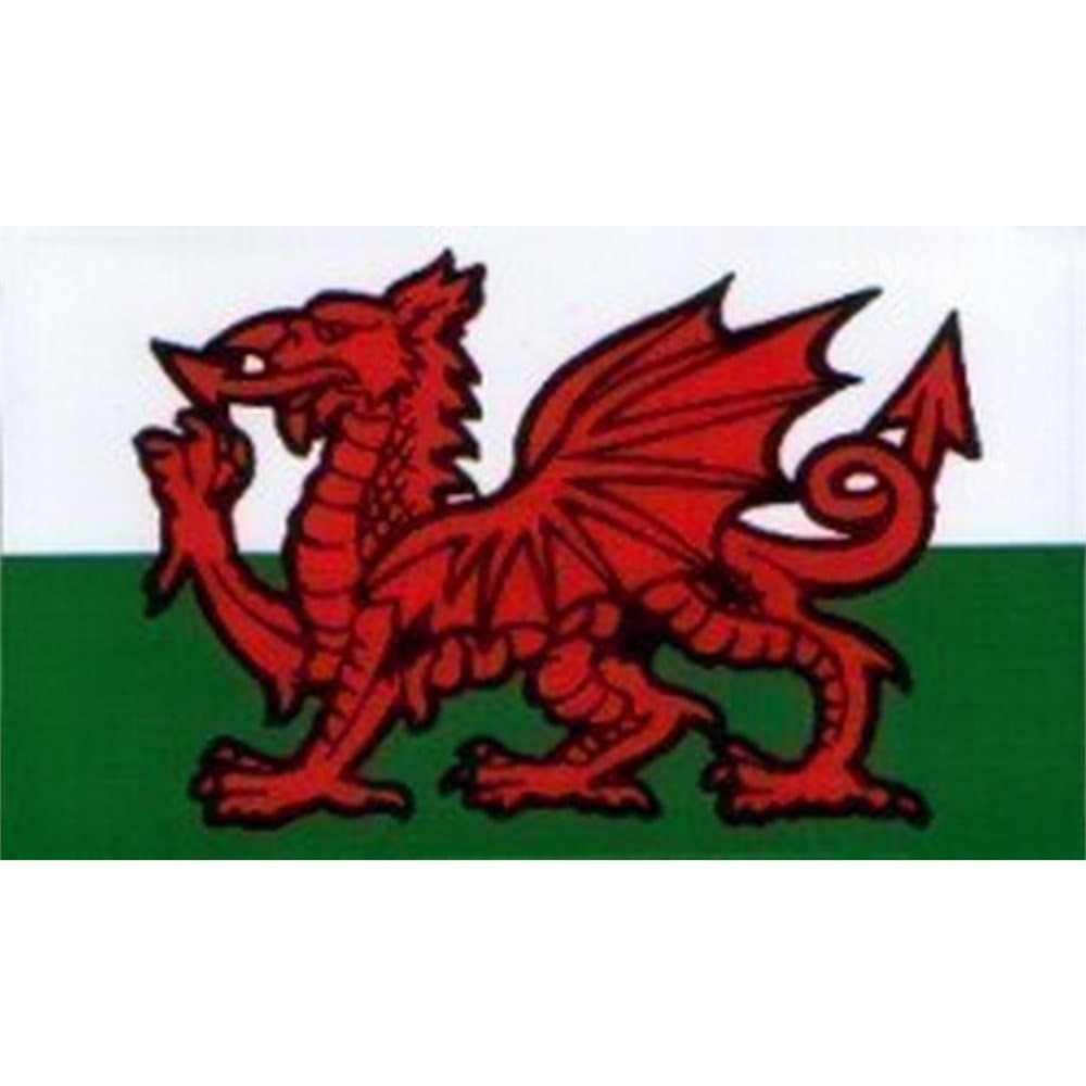 W4 Welsh Dragon Rectangle Sticker