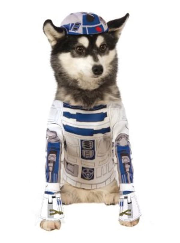R2D2 kostume til hunde M