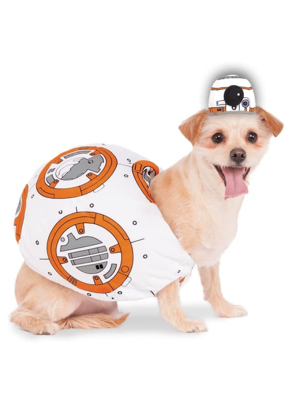 Maskeraddräkt BB-8 för hund - Star Wars