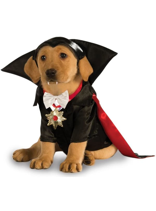 Universal Monsters Dracula kostume til hunde