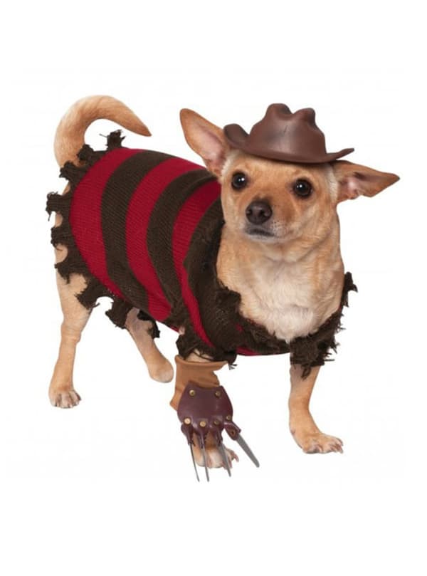 Morderisk Mareridt Freddy Krueger kostume til hunde S