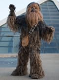 Miniatyrbillede 2 af 4: Chewbacca Supreme kostume