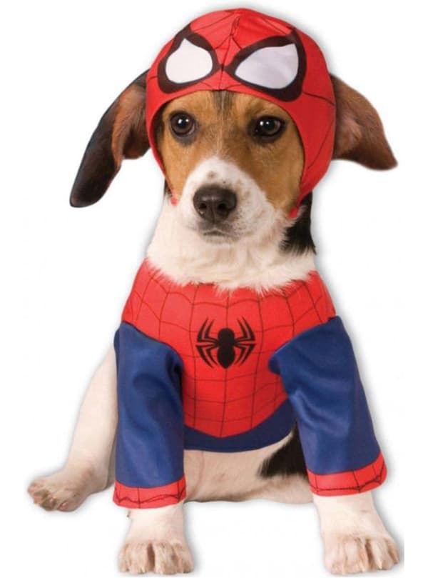 Spiderman Kostyme Hund