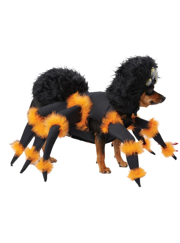 Edderkoppekostume til hunde