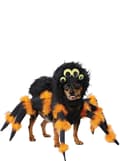 Miniatyrbillede 2 af 6: Edderkoppekostume til hunde