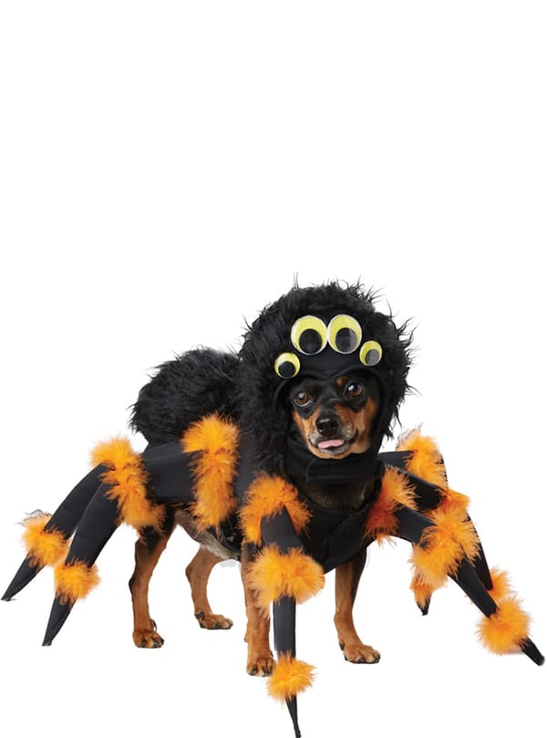 Edderkoppekostume til hunde