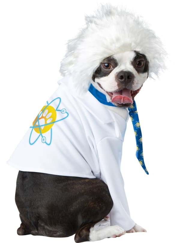 Einstein Maskeraddräkt för hund