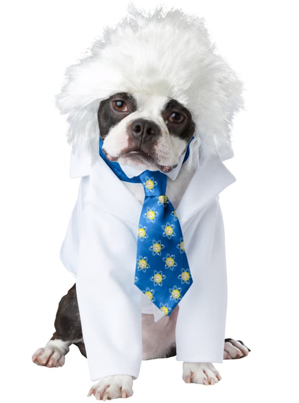 Einstein Kostume til Hunde XS