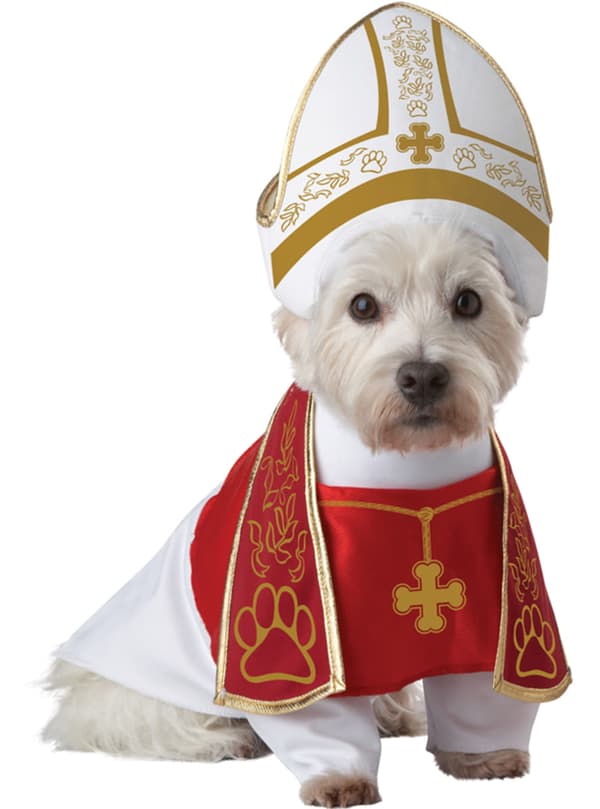 Pavekostume til hunde XS