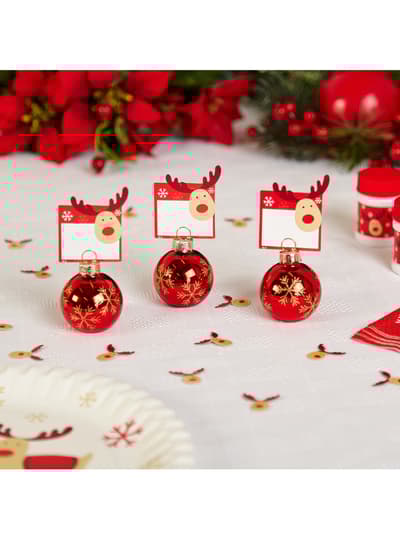 10 mini navnelapper - Rocking Rudolf