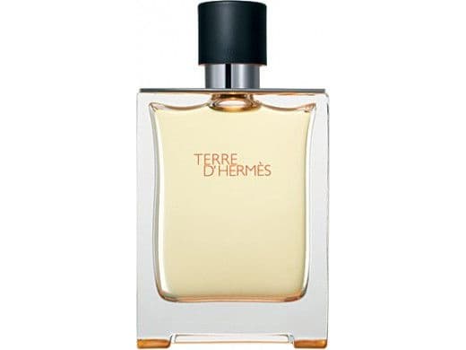 Hermes Terre D'Hermes Edt Spray - Mand - 50 ml