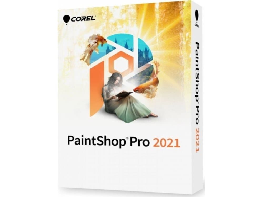 PAINTSHOP PRO 2021 MINI BOX DVD WINDOWS EN/FR/NL/IT/ES IN