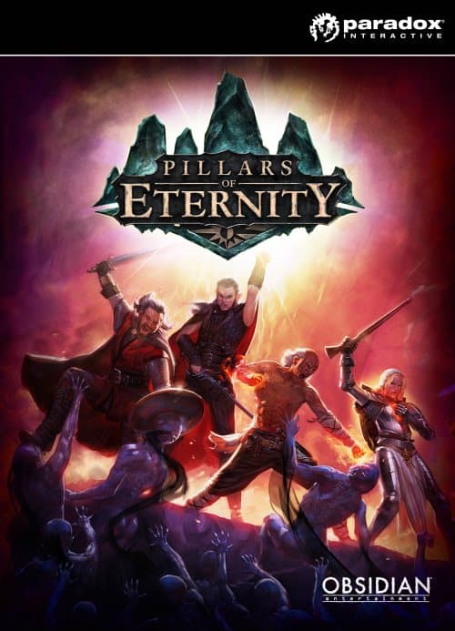 Pillars of Eternity Hero Edition