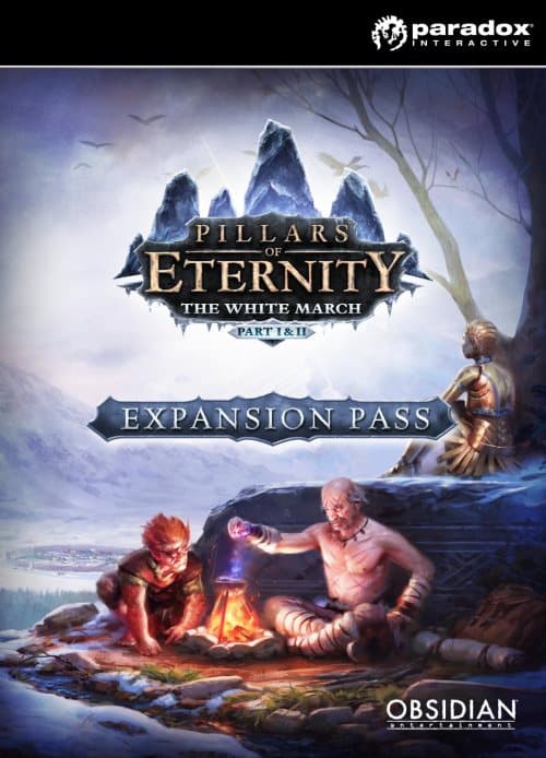 Pillars of Eternity: Expansion Pass