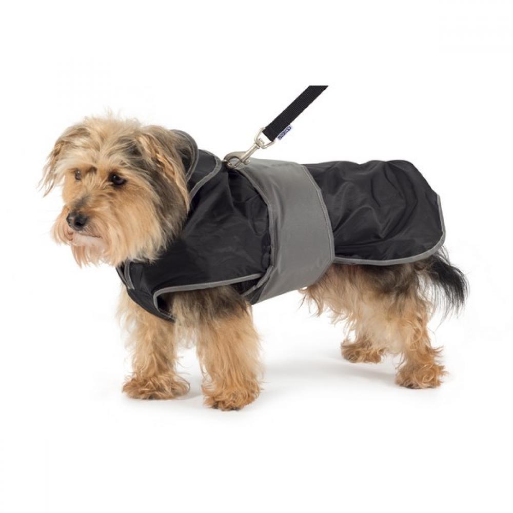dog harness and coat combined