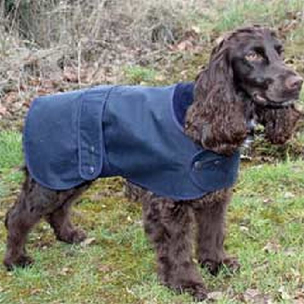hunter dog coat