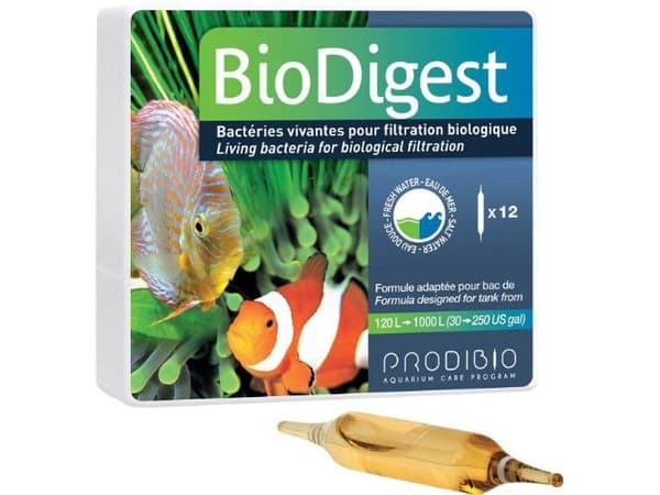 Prodibio BioDigest 12 ampoules